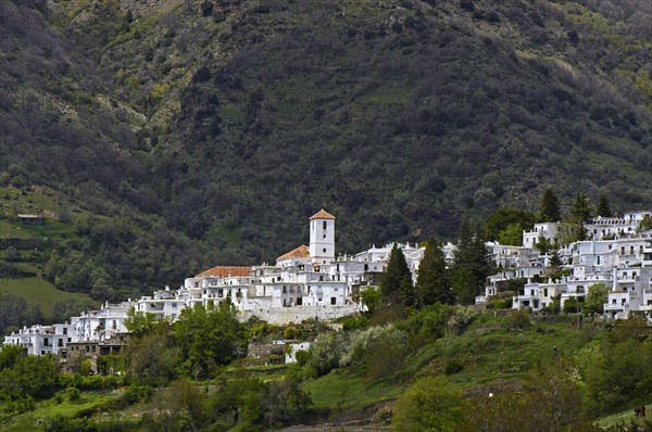 Village of Capileira