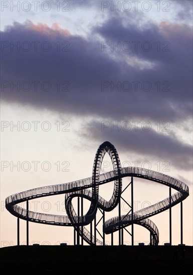 Landmark Tiger & Turtle - Magic Mountain