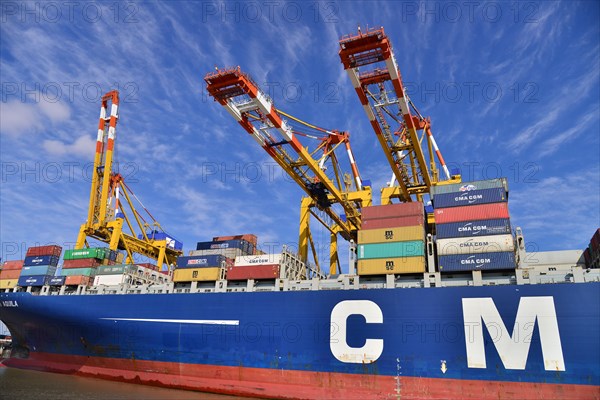 Container ship and gantry cranes