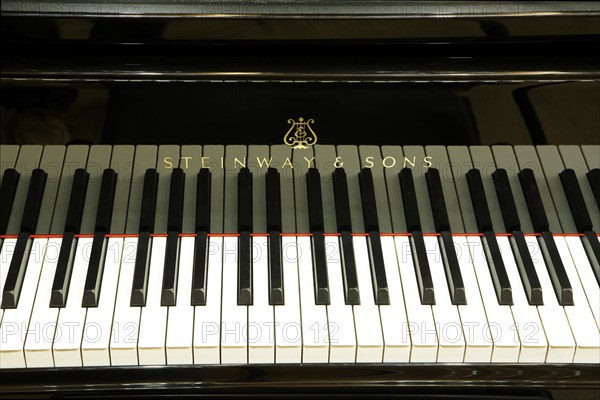 Musical keyboard