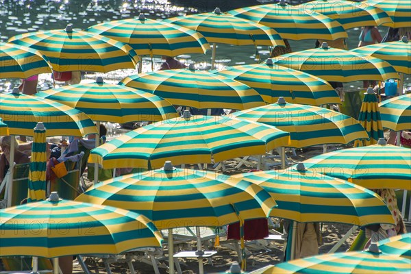 Rows of parasols on the beach