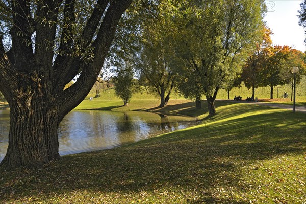 Olympiapark gardens with willows (Salix) and lake Olympiasee