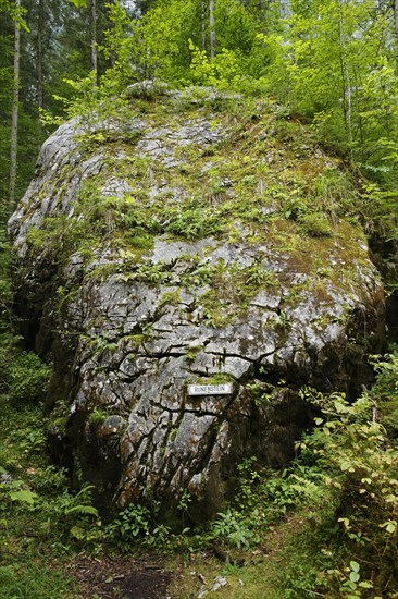 Rune stone