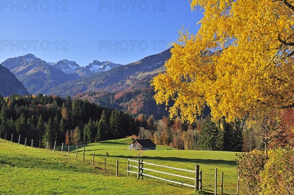 Trettachtal valley