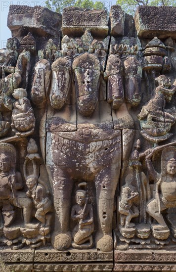 The five headed horse on the hidden wall of the Terrace of the Elephants