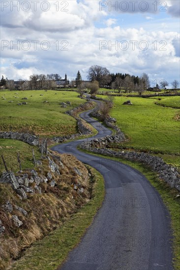 Road near Nasbinals