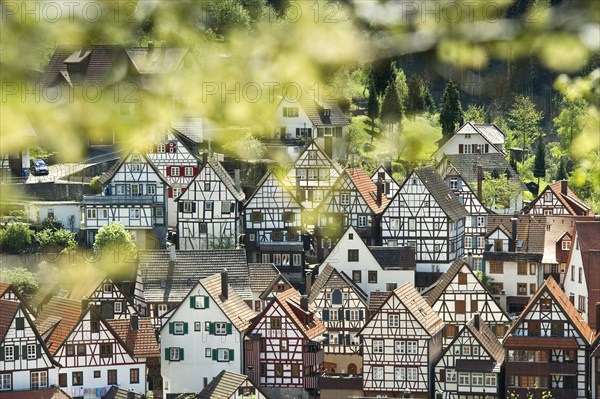 Half-timbered houses