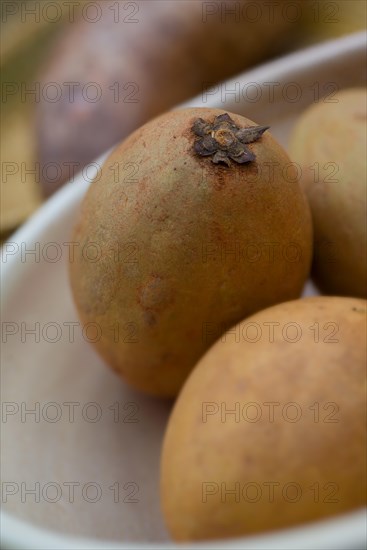 Fruits from a Sapodilla (Manilkara zapota)