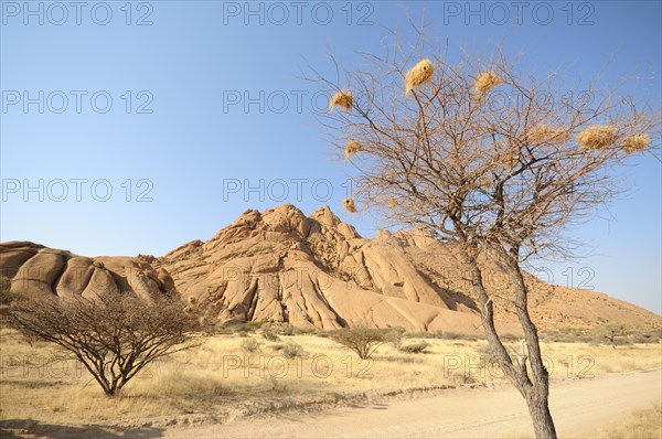 Savannah landscape with granite rocks of the Pontok Mountains