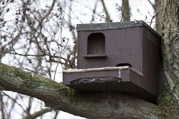 Bird nesting box suitable for Barn Owl or Kestrel