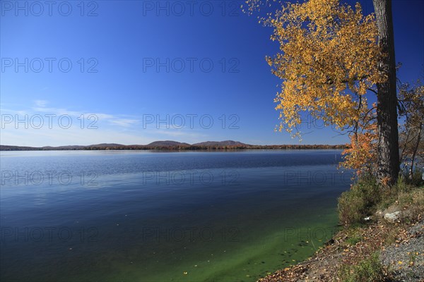 View on Lake Brome