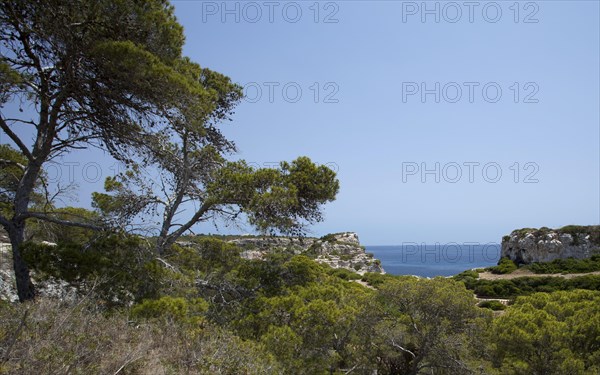 Rock-lined bay of Calo des Moro