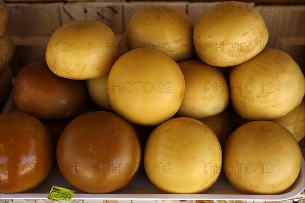 Typical Romanian sheep's milk cheese on a market