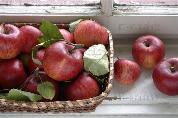 Apples in a wicker basket