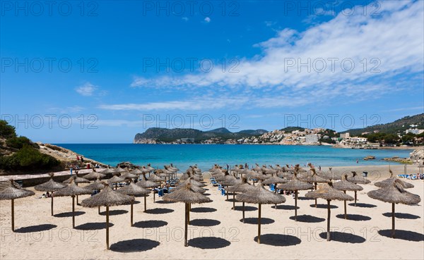 Parasols on the beach