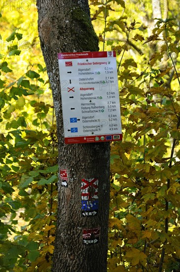 Old and new hiking signs on a tree