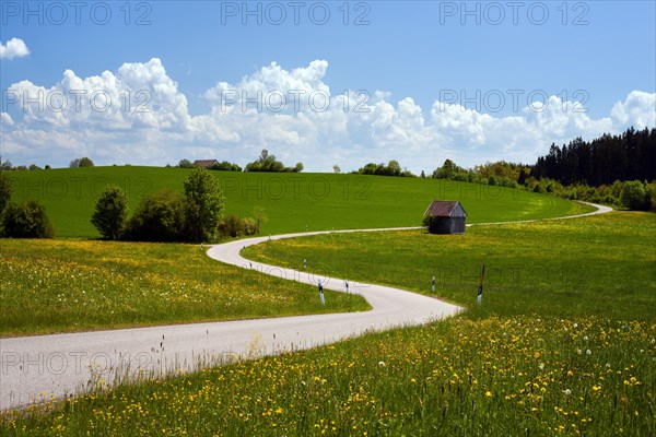 Dirt road near Wessobrunn