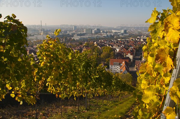 Panorama from Rotenberg Mountain towards the main Daimler plant and Mercedes-Benz Arena