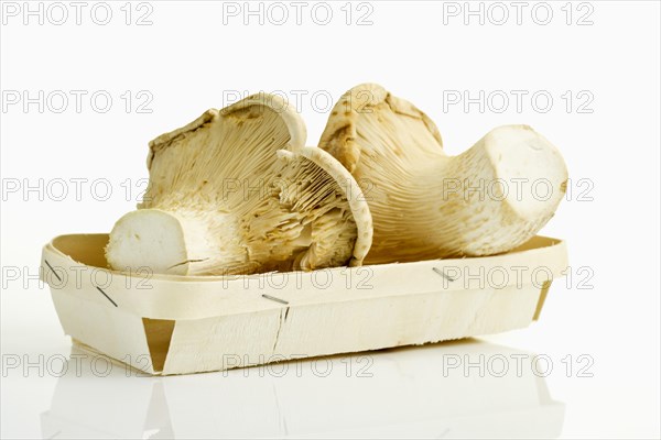 White Elf or Abalone Mushrooms from China in a wooden tray