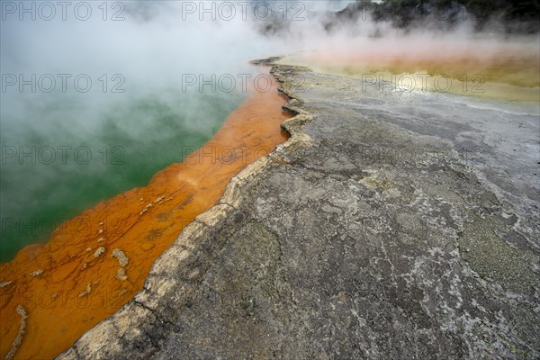 Champagne Pool