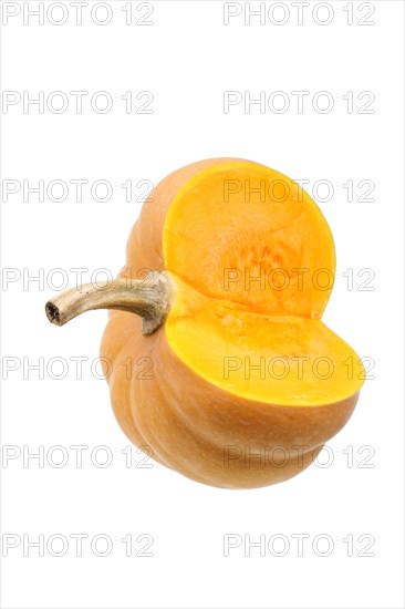 Squash or pumpkin