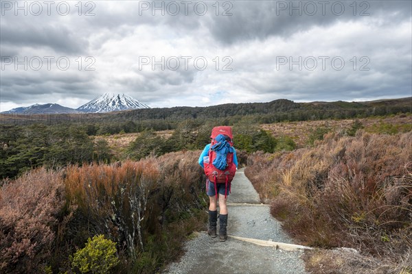 Hikers on hiking trail Tongariro Northern Circuit