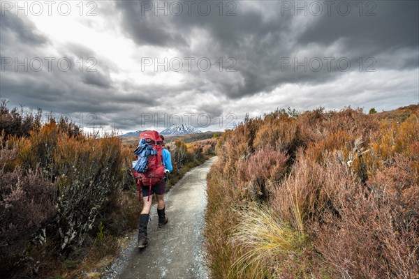 Hikers on hiking trail Tongariro Northern Circuit