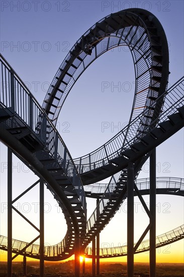 Tiger and Turtle