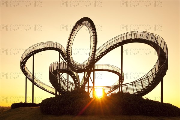 Tiger and Turtle