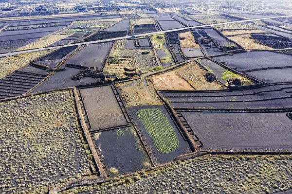 Field landscape with black lava gravel
