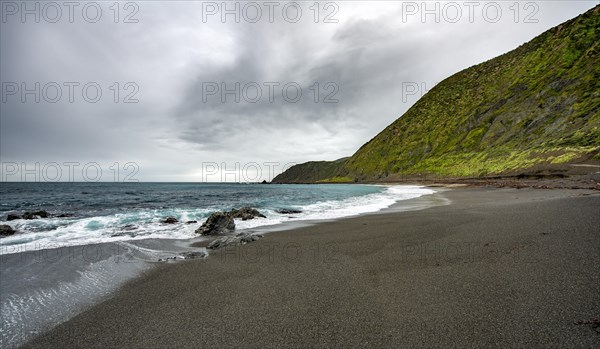 Coast with black sand beach