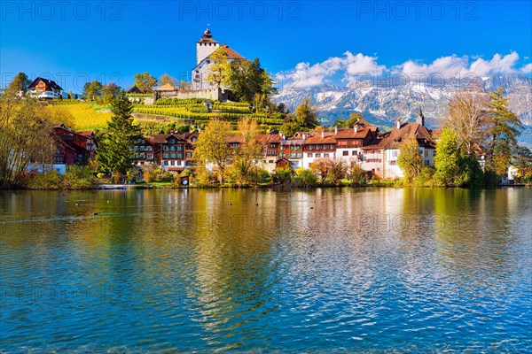 Werdenberg Castle with old town at Werdenbergersee lake