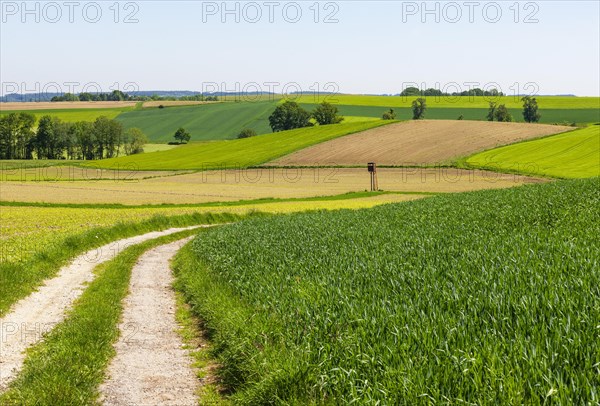 Field path