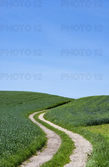 Curvy dirt road through agricultural landscape