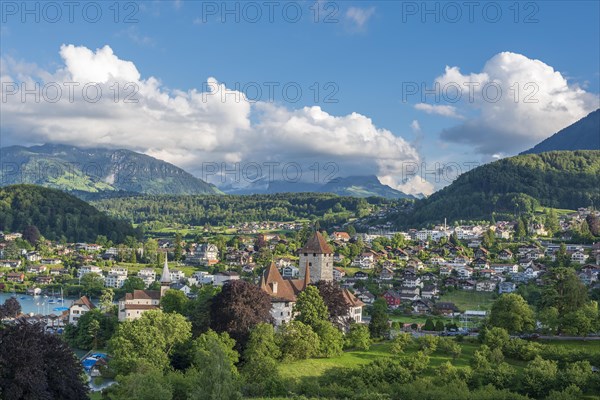 Cityscape with Castle Spiez