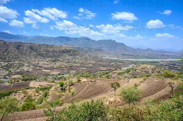 Valley with fields