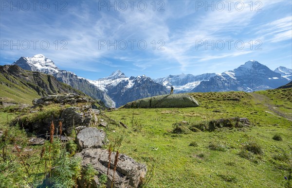 Hiker stands on a large rock