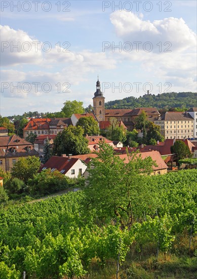 View from the garden of the Neue Residenz to Bamberg