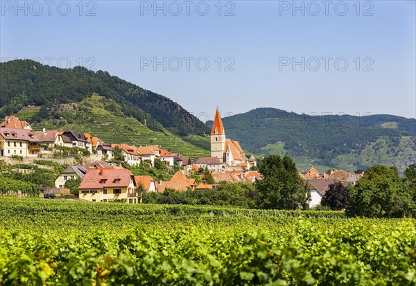 Parish church in front of vineyards