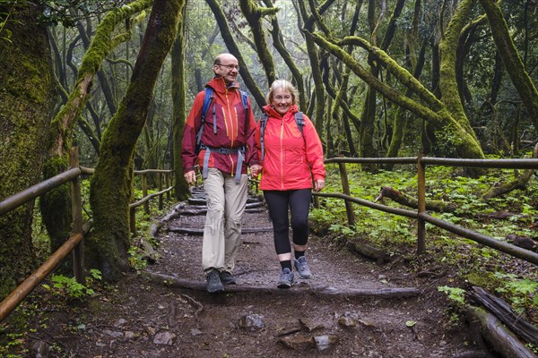 Couple hiking on forest trail in the laurel forest