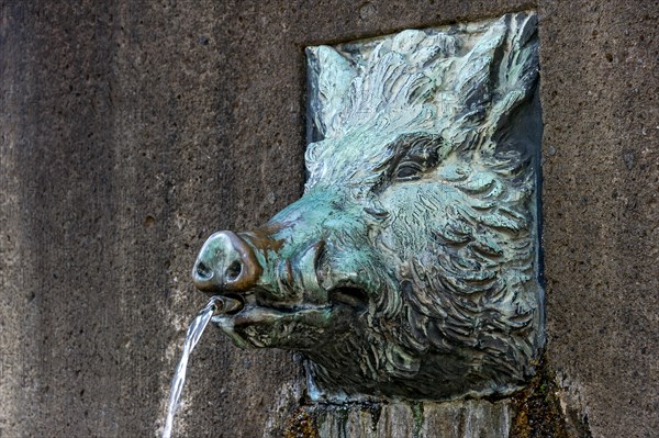 Drinking water fountain