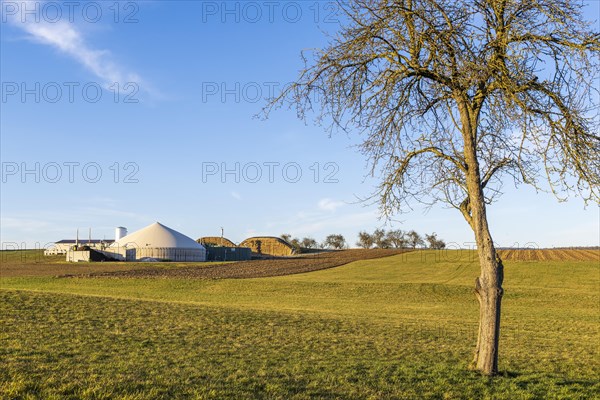 Biogas plant near Backnang