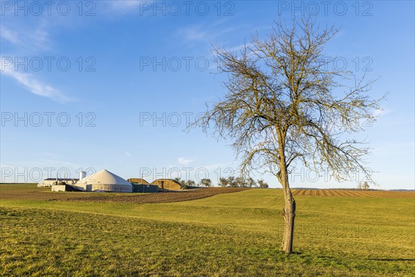 Biogas plant near Backnang