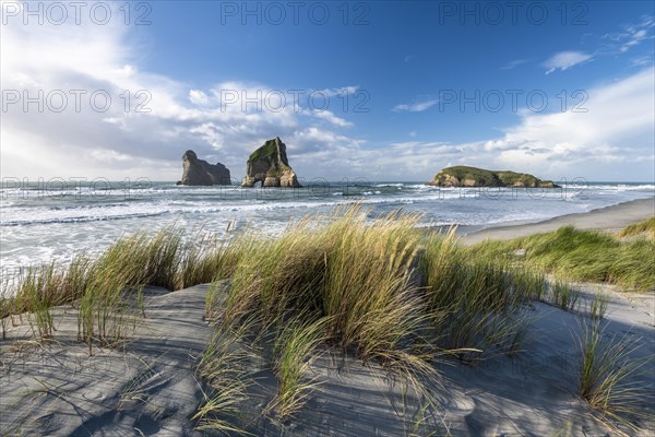 Rock island on Wharariki beach