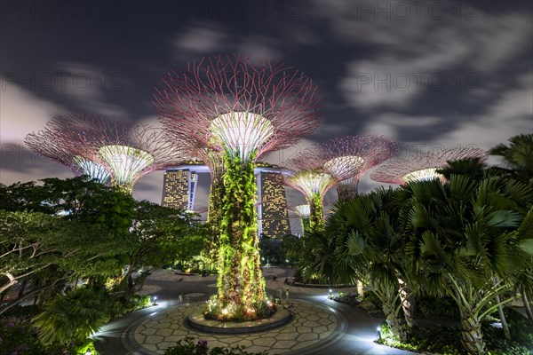 Supertrees at night