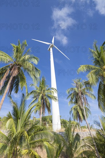 Wind turbine surrounded by palm trees