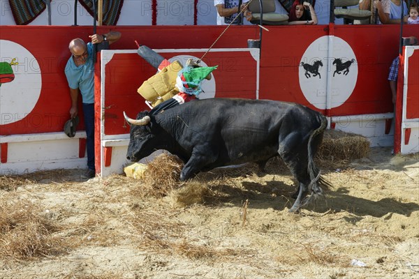 Street corrida during the Festas do Barrete Verde e das Salinas