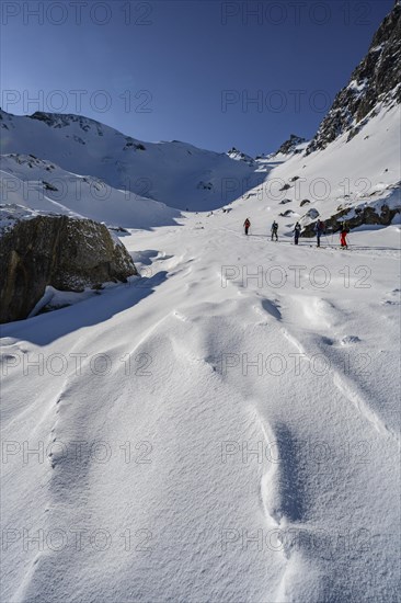 Group of ski tourers