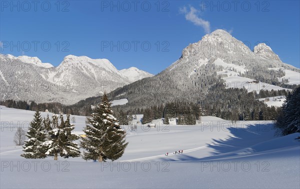 Cross-country skiing trail