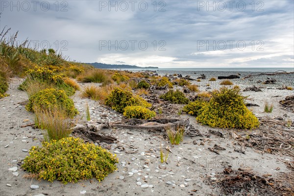 Gillispies Beach